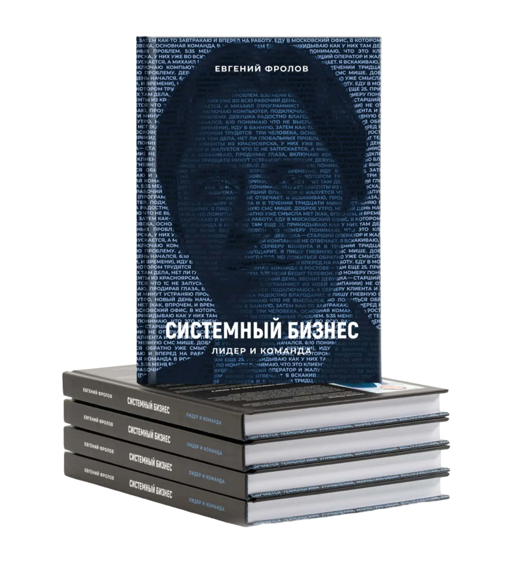 Книга «Системный бизнес. Лидер и команда»